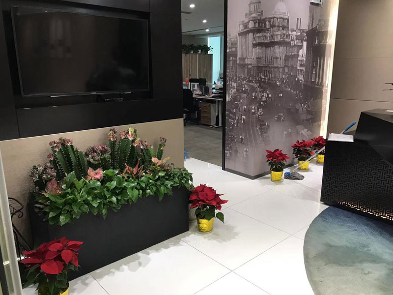 水泥花盆春風組盆