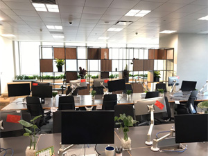 海淀區某商務樓辦公室綠植租擺案例