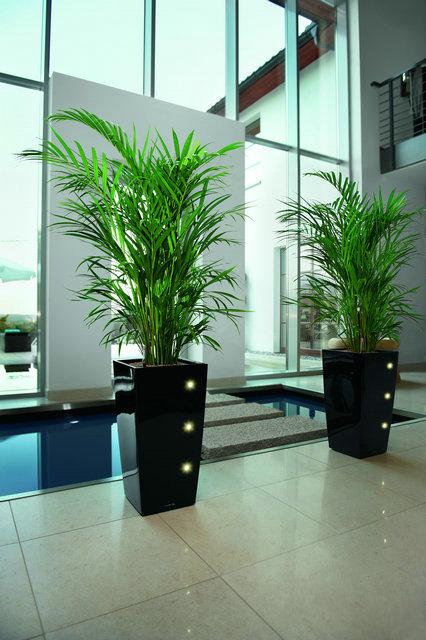 選花的技巧都有哪些？