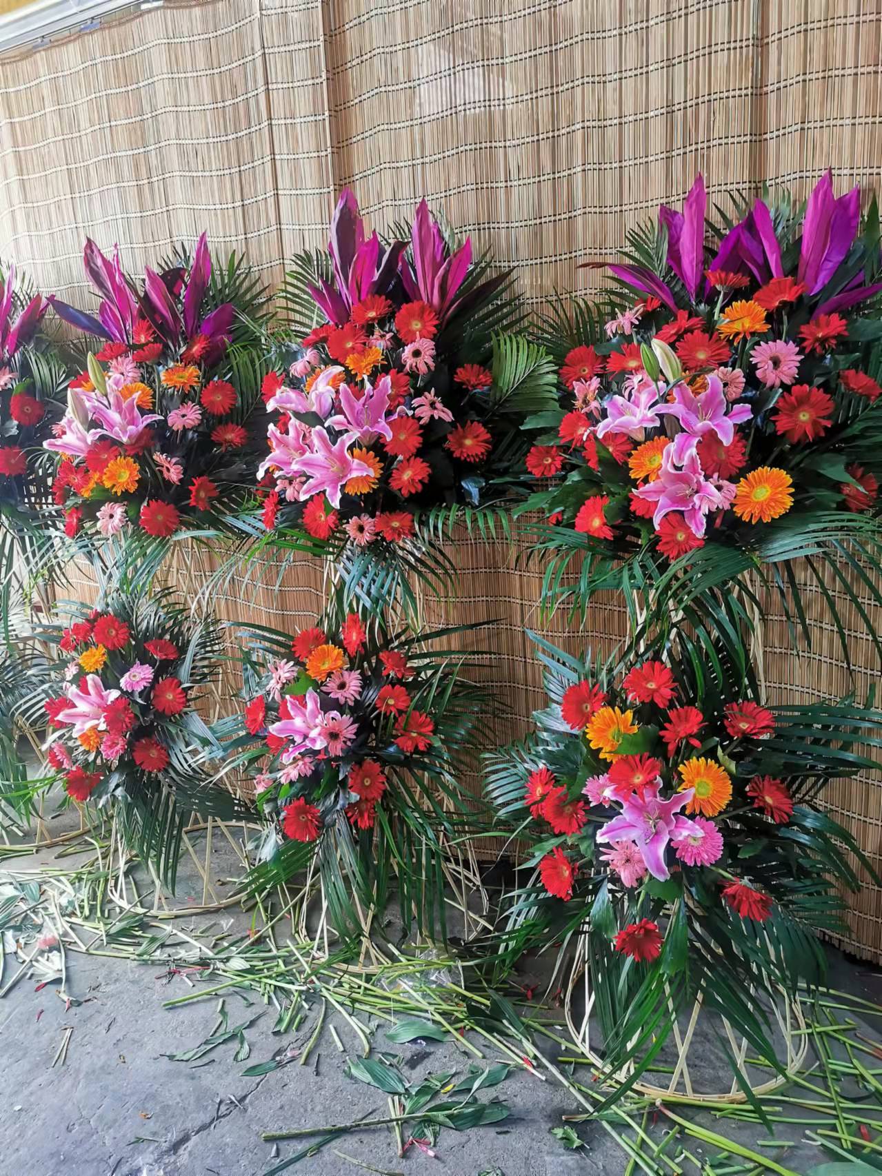 大興區綠植租擺公司北京辦公室花卉租擺公司盆栽植物租賃