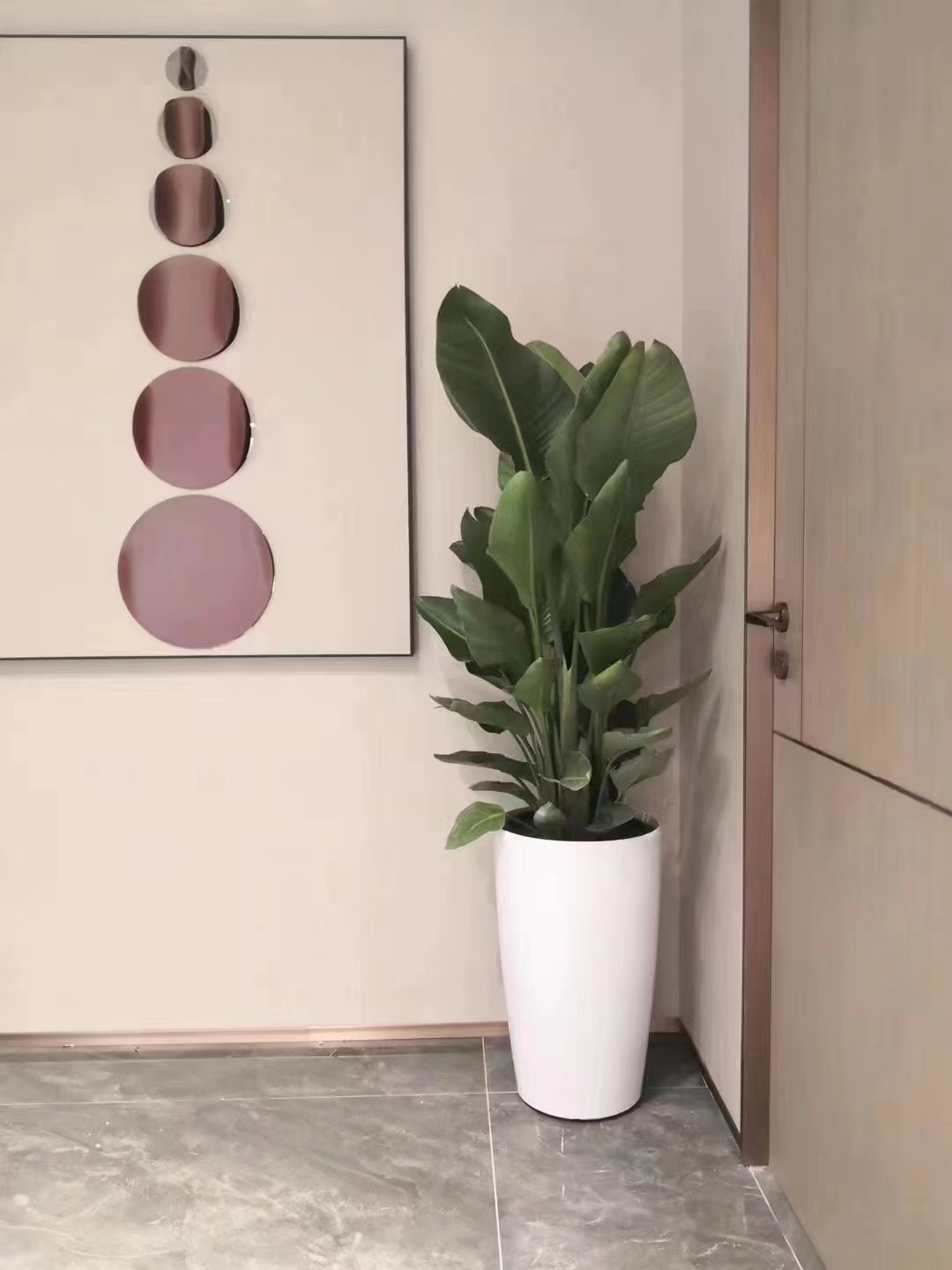 北京綠植花卉養護公司