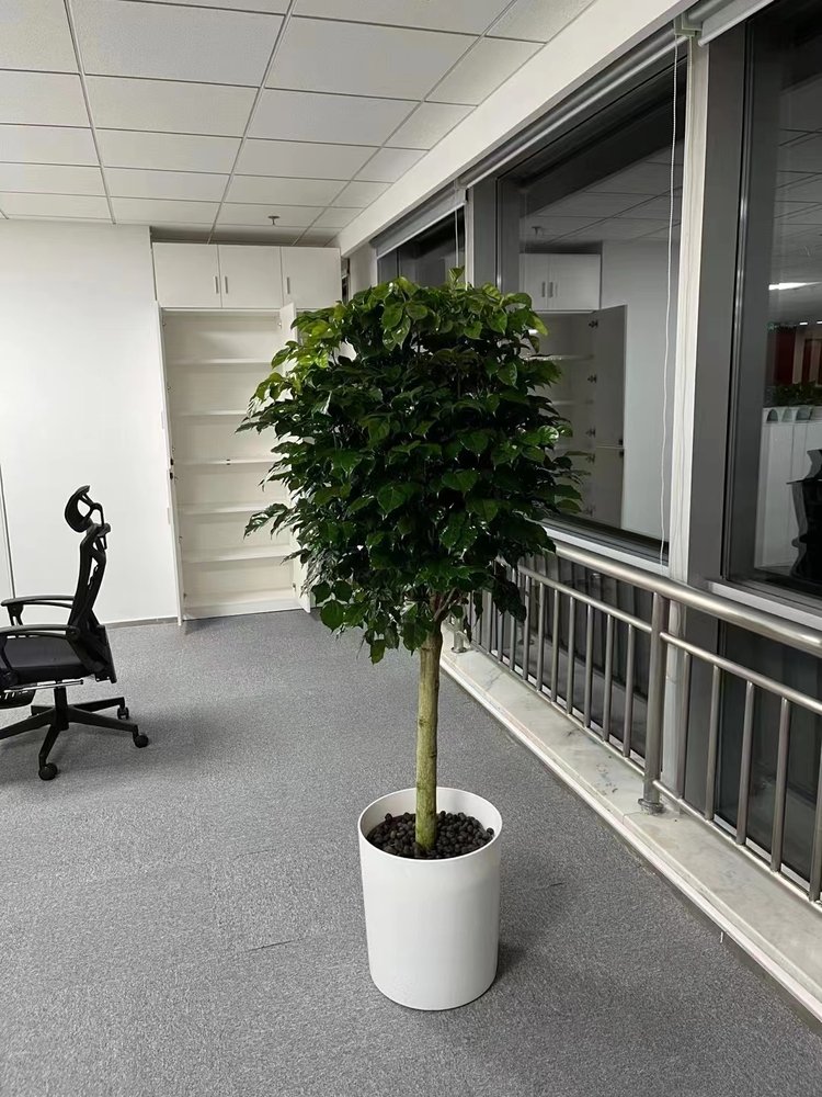 海淀區綠植租擺公司