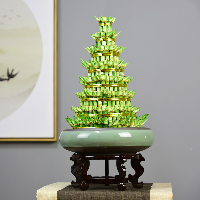 室內綠植租擺公司