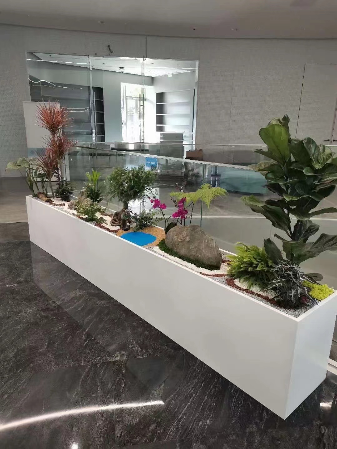 綠植租賃公司在綠植養護過程中常遇到的問題