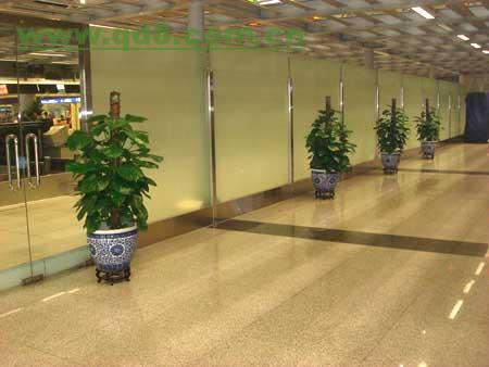 北京東城區東方廣場寫字樓綠植租擺花卉租賃公司