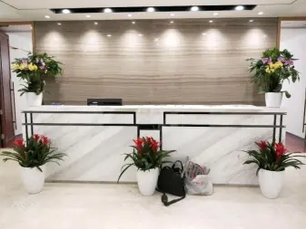 辦公室綠植租擺澆水注意事項