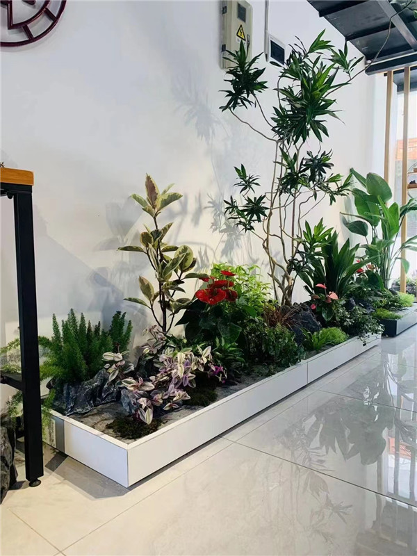 北京綠植租擺公司